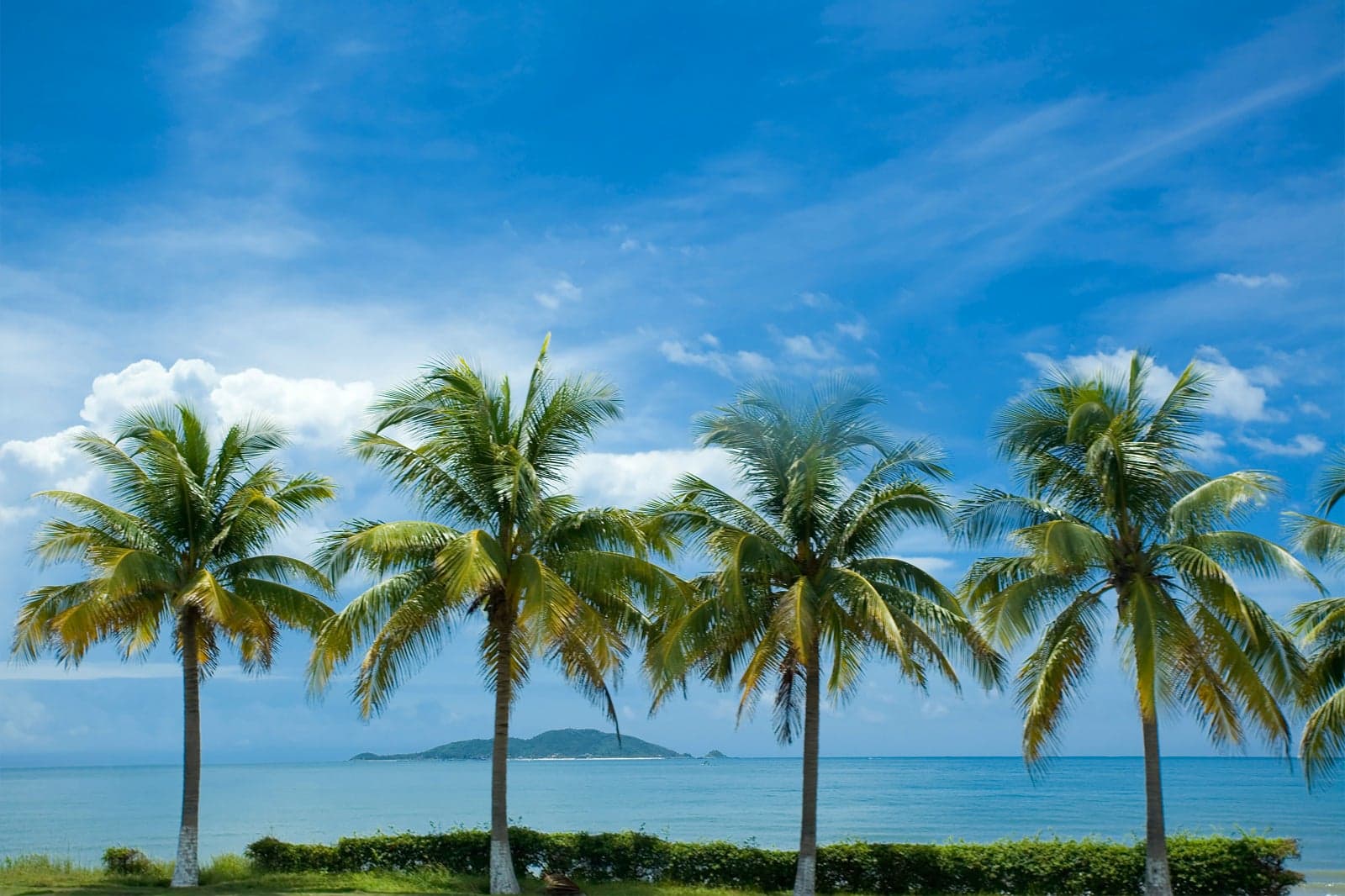 双语阅读 | 海南十佳岛礁 10 Best Islands in Hainan-酒店英语